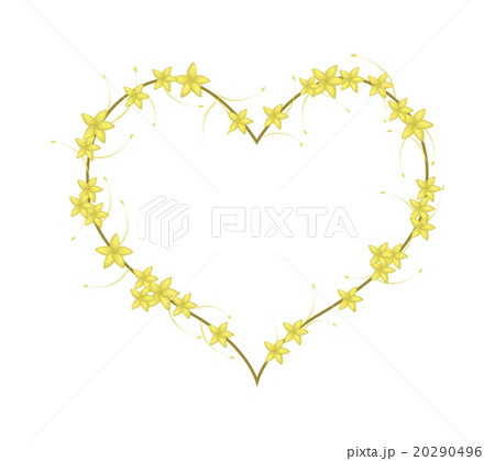 Yellow Bush Willow Flowers in A Heart Shape Yellow Bush Willow Flowers in A Heart Shape 20290496