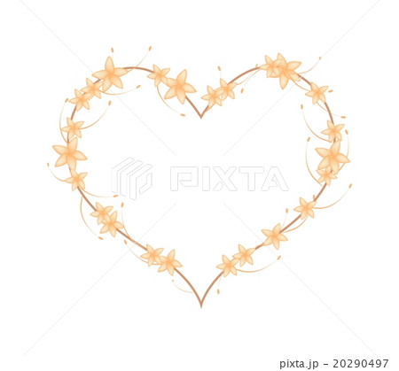 Orange Bush Willow Flowers in A Heart Shape 20290497