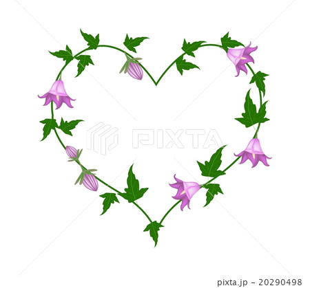Campanula Rotundifolia Flowers in A Heart Shape 20290498