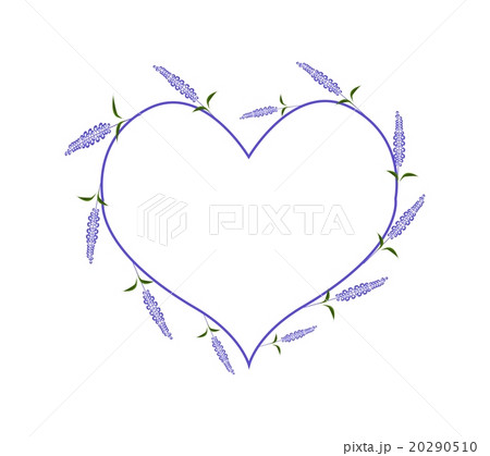 Purple Sage Flowers in A Heart Shape 20290510