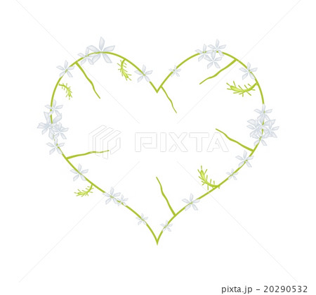 White Plumbago Indica Flowers in A Heart Shape White Plumbago Indica Flowers in A Heart Shape 20290532