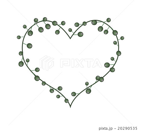 Green Flower Buds in A Heart Shape 20290535