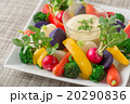 バーニャカウダー 20290836