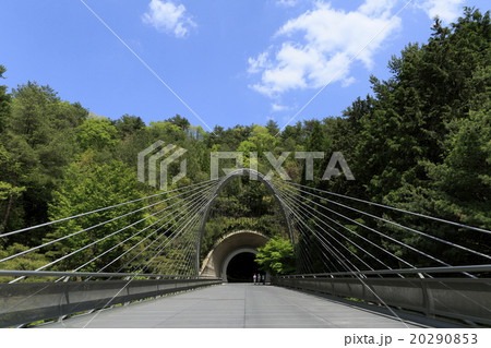 ミホミュージアムのトンネル 20290853