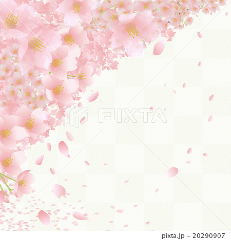 桜 和柄のイラスト素材