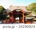 鎌倉鶴岡八幡宮の舞殿 20290924