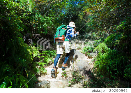 登山をする女性の後姿 登山をする女性の後姿 20290942
