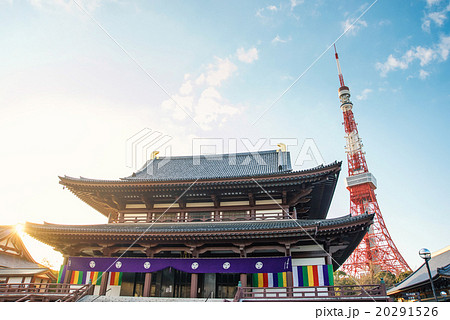 増上寺と東京タワー 増上寺と東京タワー 20291526