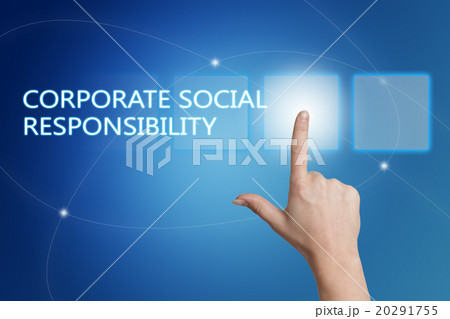 Corporate Social Responsibility 20291755