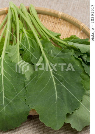 ケール ケール 20291917