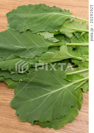 ケール ケール 20291925