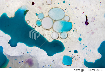 precious pattern precious pattern 20293862