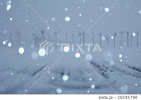 雪舞水田 20295796