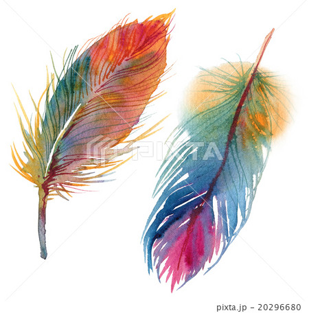 Set of watercolor feathers Set of watercolor feathers 20296680