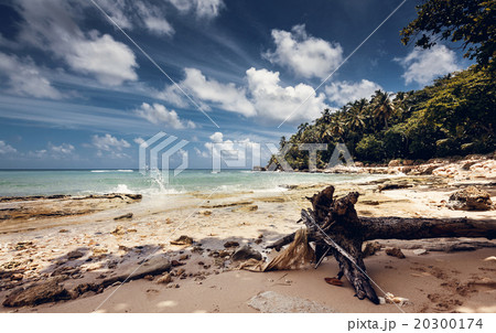 Beach and ocean, Dominican Republic 20300174