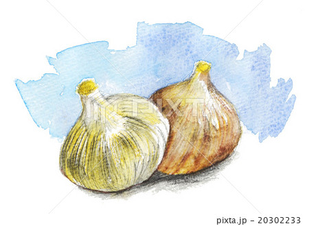 garlic16205pix1 20302233