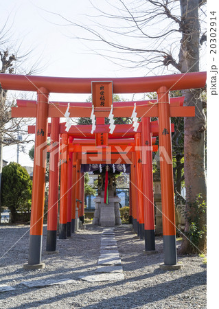 町田天満宮の出世稲荷社 町田天満宮の出世稲荷社 20302914