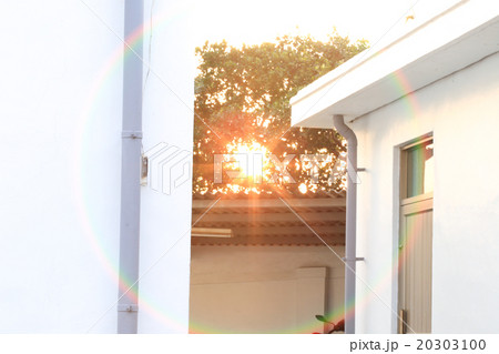 太陽 日 お日様 20303100