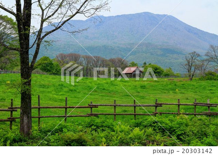 戸隠牧場から見る黒姫山 20303142