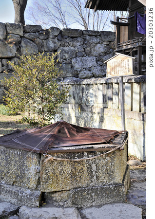 真田井戸 20303236