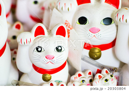 豪徳寺の招き猫（東京都の風景） 20303804