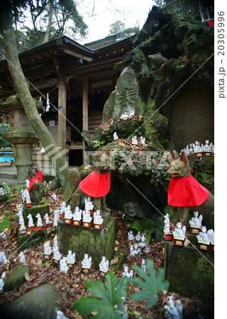 鎌倉 佐助稲荷神社と狐守護神 鎌倉 佐助稲荷神社と狐守護神 20305996