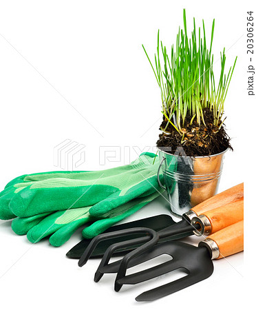 Garden supplies 20306264