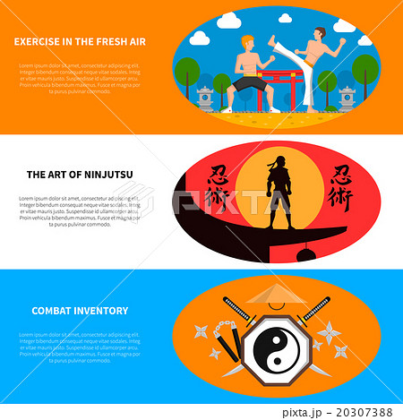 Martial Arts Banners Set 20307388