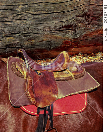 Brown horse ridding saddle on log wall background. Brown horse ridding saddle on log wall background. 20307491