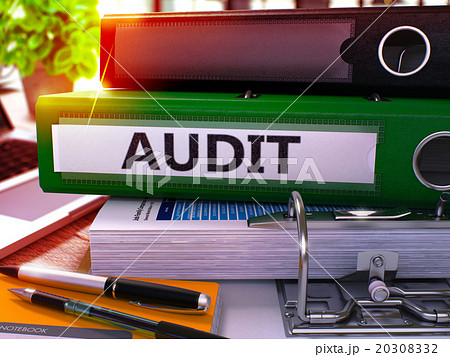 Green Office Folder with Inscription Audit 20308332