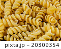 Pasta on white background close-up macro isolated 20309354
