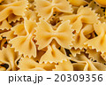 Pasta on white background close-up macro isolated 20309356