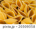 Pasta on white background close-up macro isolated 20309358