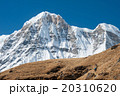 Trekking in Annapurna region, Nepal 20310620