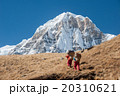 Trekking in Annapurna region, Nepal 20310621