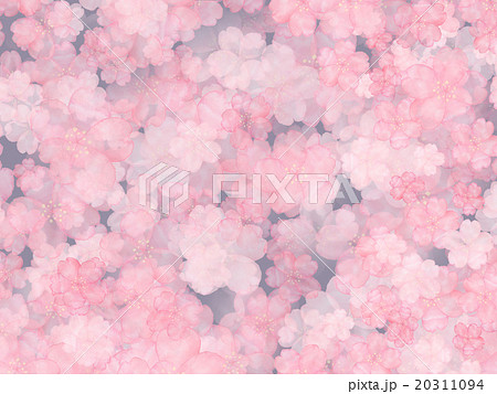 夜桜 薄墨桜 淡墨ザクラ お花見 背景素材 壁紙 宵 サクラ 水彩画 背景