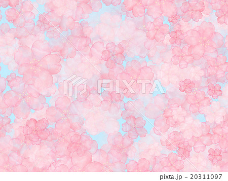 お花見日和 青空 桜 サクラ 水彩画 背景イラスト 日本の春 満開 手描き 手書き バックグラウンドのイラスト素材