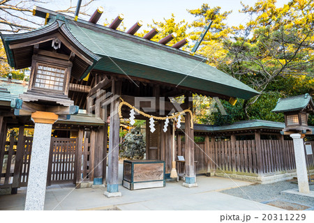 意富比神社(船橋大神宮)境内 千葉県船橋市 意富比神社(船橋大神宮)境内 千葉県船橋市 20311229