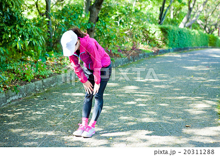 ウォーミングアップをする女性 ウォーミングアップをする女性 20311288