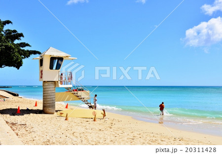 ハワイの休日 20311428