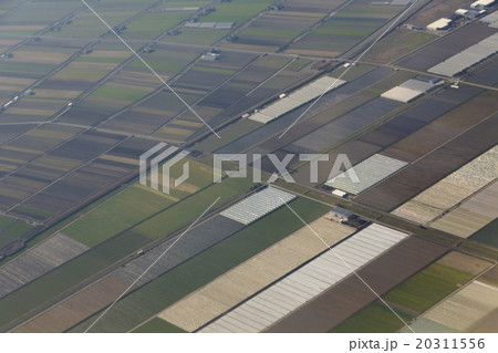 諫早湾干拓地の農地 諫早湾干拓地の農地 20311556