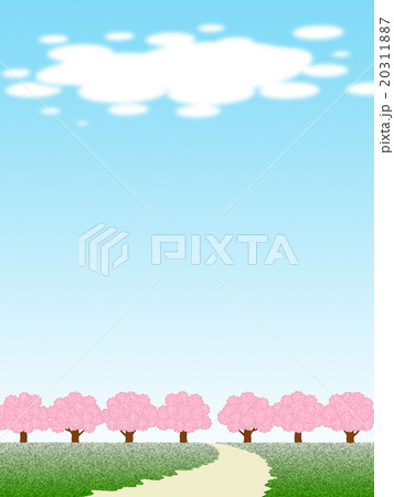 桜並木 20311887