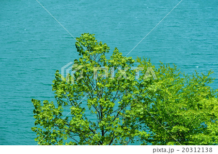 新緑の御母衣湖 新緑の御母衣湖 20312138