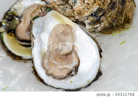 Fresh oyster with ice closeup Fresh oyster with ice closeup 20312768
