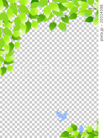 藍色鳥和樹背景 藍色鳥和樹背景 20314398