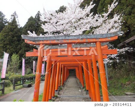 かんざき桜の山・桜華園 20314411