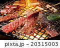 焼肉3 20315003
