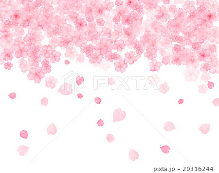 桜 花びら 桜吹雪 ハート かわい イラスト コピースペース 額 フレーム 水彩画 手描き 手書き のイラスト素材