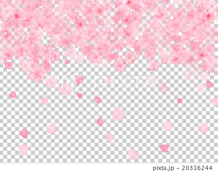 桜 花びら 桜吹雪 ハート かわい イラスト コピースペース 額 フレーム 水彩画 手描き 手書き のイラスト素材