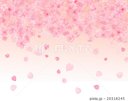 桜 花吹雪 水彩 さくら サクラ 花柄 花模様 優しい ガーリー 女性的 壁紙 淡い イラスト 背景のイラスト素材